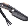 CIVIVI Fixed Blade Elementum Black CNT feststehendes Messer – Bild 3