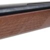 Diana Two-Fifty Knicklaufluftgewehr im Kal. 5,5 mm Diabolo und Zielfernrohr – Bild 3