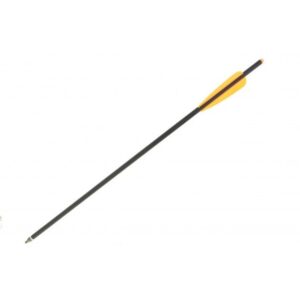 Carbonbolzen 20" in schwarz aus Kohlefaser mit Schraubspitze