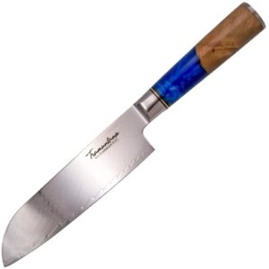 Tramuntana Küchenmesser Santoku, 67 Lagen Damast,VG10 Stahl, Epoxidharz Wurzelholzgriff