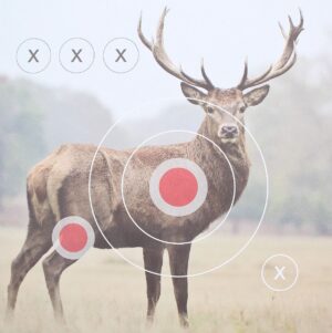 Landmann Zielscheiben 31x31cm, "Hirsch", 25 Stück