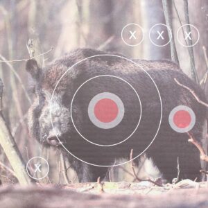 Landmann Zielscheiben 31x31cm, "Wildschwein", 25 Stück