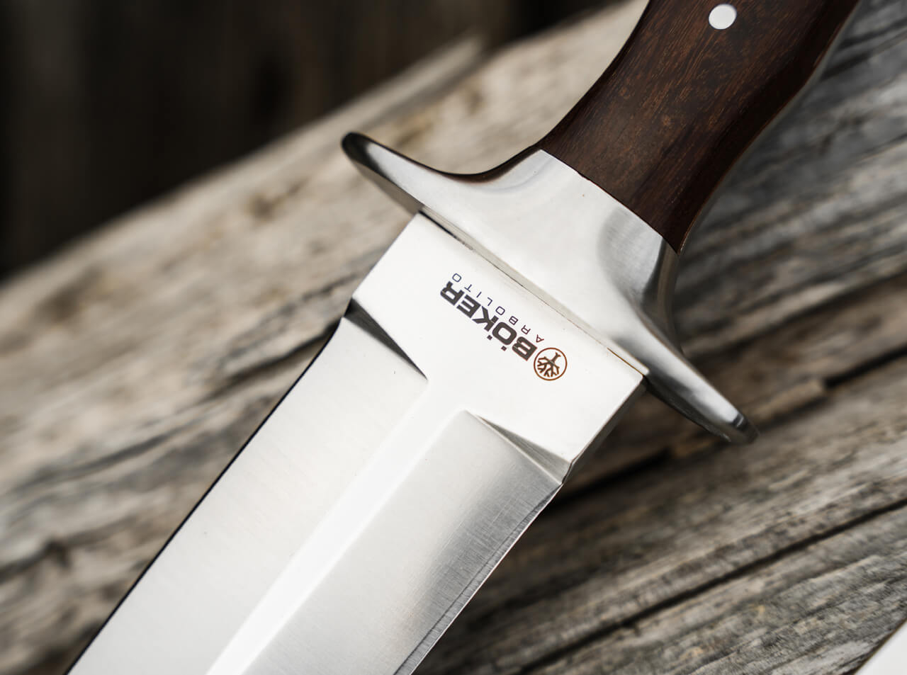 Böker Argentina Colmillo GX, Saufänger, Guayacan-Ebenholz – Bild 5